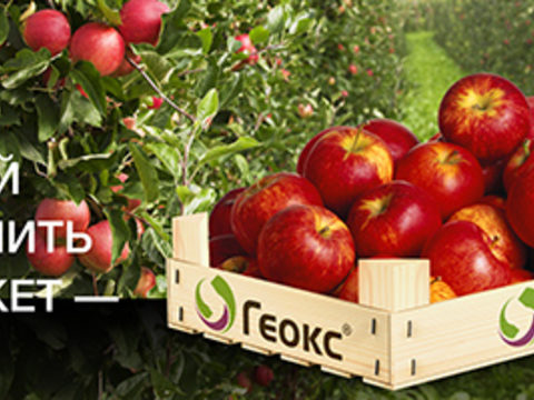 ГЕОКС® — снижение болезней плодов яблони при хранении