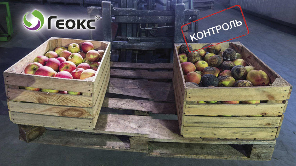 ГЕОКС® — снижение болезней плодов яблони при хранении