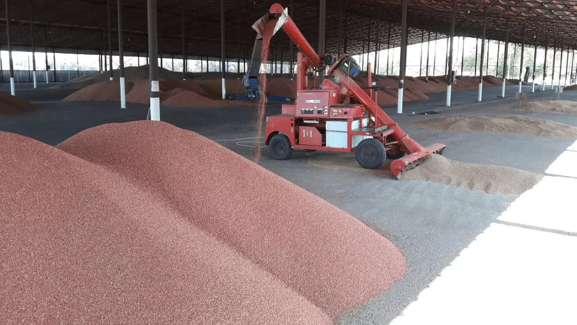 Защита семян препаратами Syngenta