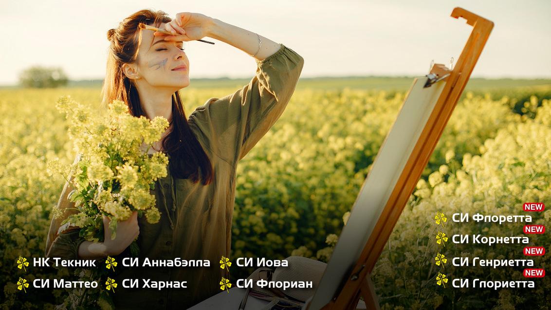 Гибриды озимого рапса