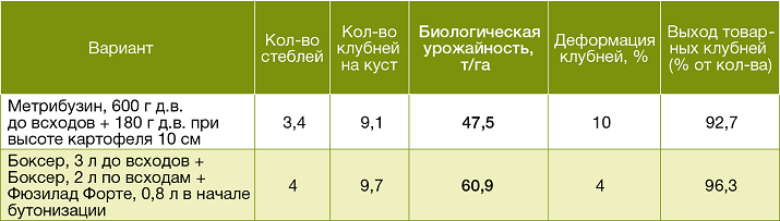 Результат опыта по защите картофеля в Московской области, сорт Экселенс