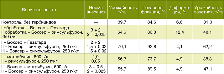 Выбор оптимальной схемы защиты для чувствительного сорта ВР-808, Московская область, Коломна, «Овощной город»