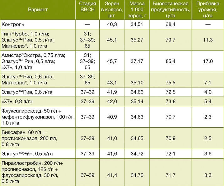 Хозяйственная эффективность различных схем защиты озимой пшеницы от болезней (УО «БГСХА», 2021 год)
