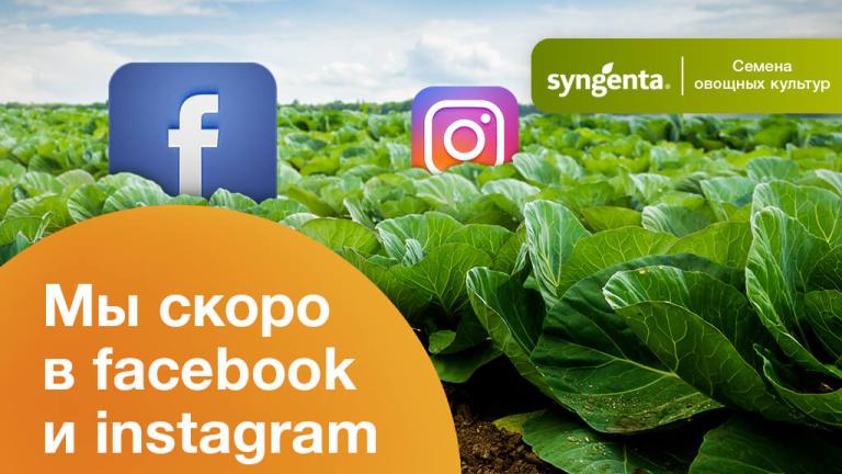 Мы скоро в Facebook и Instagram