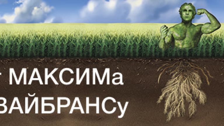 МАКСИМа к ВАЙБРАНСу