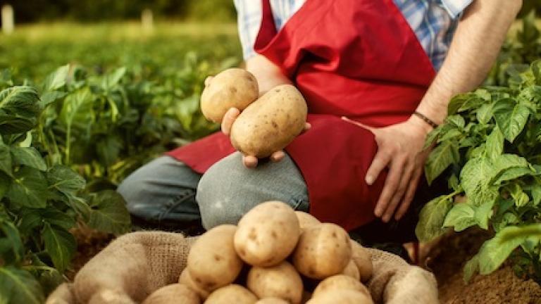 Продукты для садоводов - инсектициды