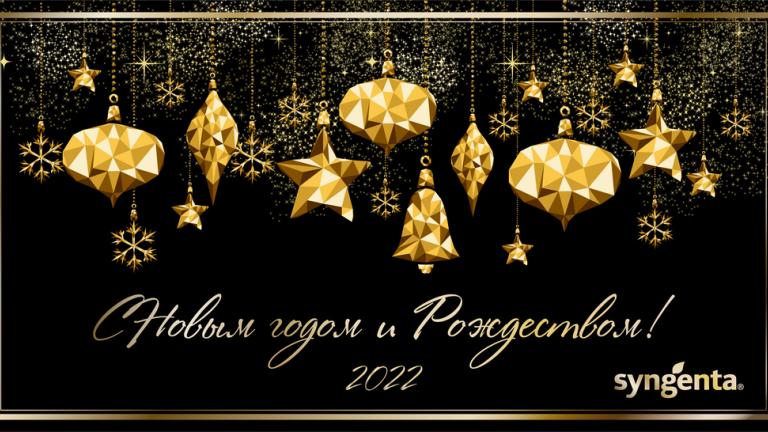 С Новым годом и Рождеством!