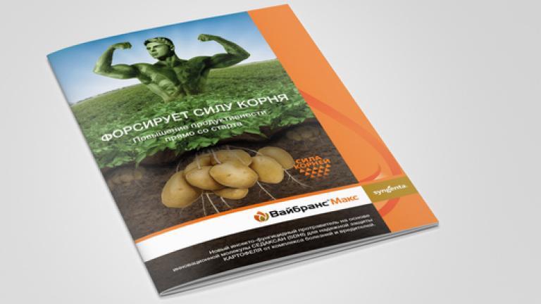 Вайбранс® Макс на защите картофеля