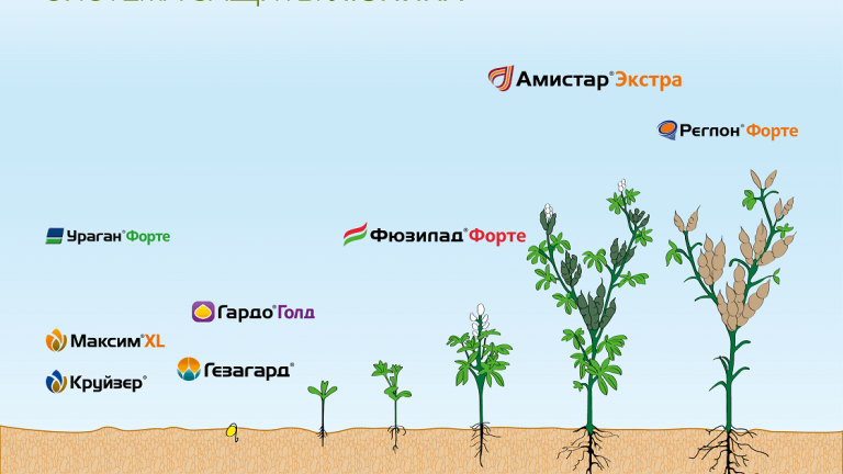 Система защиты люпина