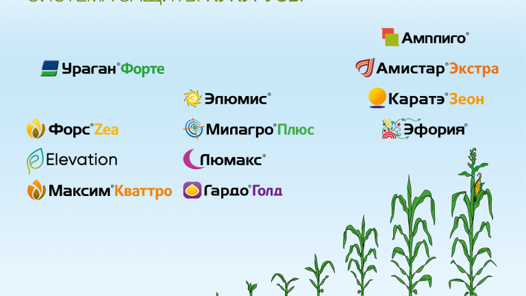 Система защиты кукурузы