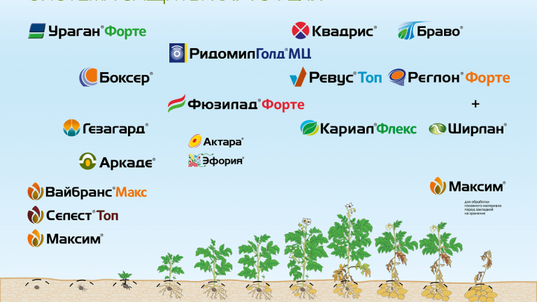 Система защиты картофеля