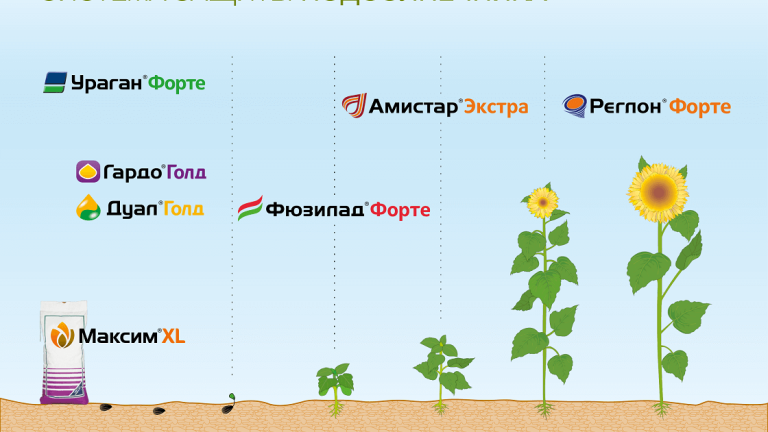 Система защиты подсолнечника