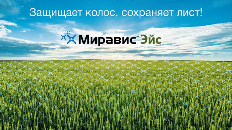 Миравис™ Эйс – новая линия в защите зерновых культур