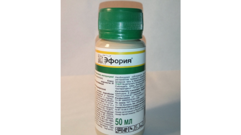 Эфория, 50мл ТММ