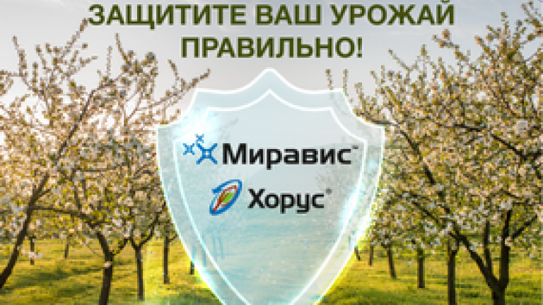 Защита садов в текущих неблагоприятных условиях!