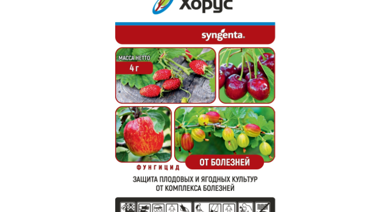 ХОРУС, 4 г, Фортис