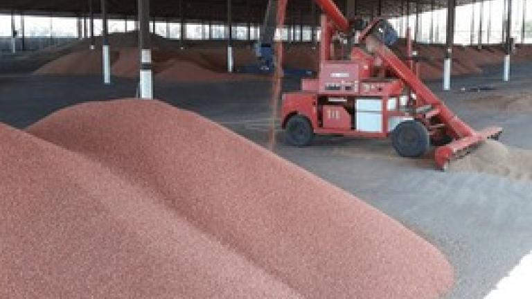 Защита семян препаратами Syngenta