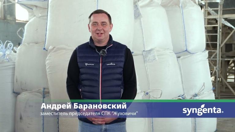 Миравис™ Эйс — надёжный помощник в получении элитных семян!
