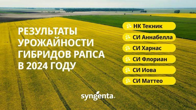 Карта урожайности гибридов озимого рапса компании Сингента в 2024 году.