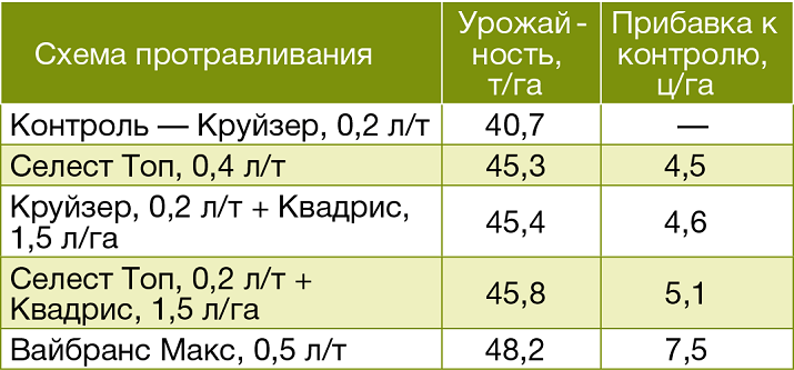 Сравнительная эффек- тивность вариантов протравливания картофеля в ФХ «Фортуна», 2018 г.