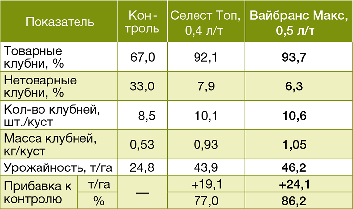 Сравнительная эффективность вариантов защиты сорта картофеля Манифест на Гомельской ОСХОС, 2018 г.