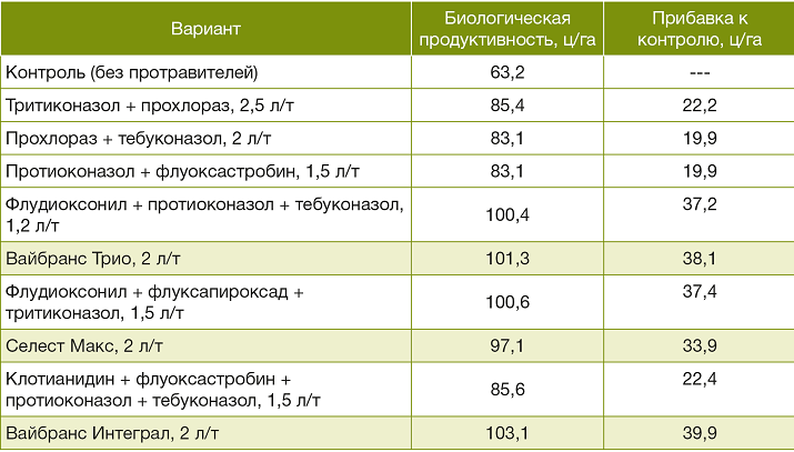 Хозяйственная эффективность протравителей на озимой пшенице, УО БГСХА, 2019 г.