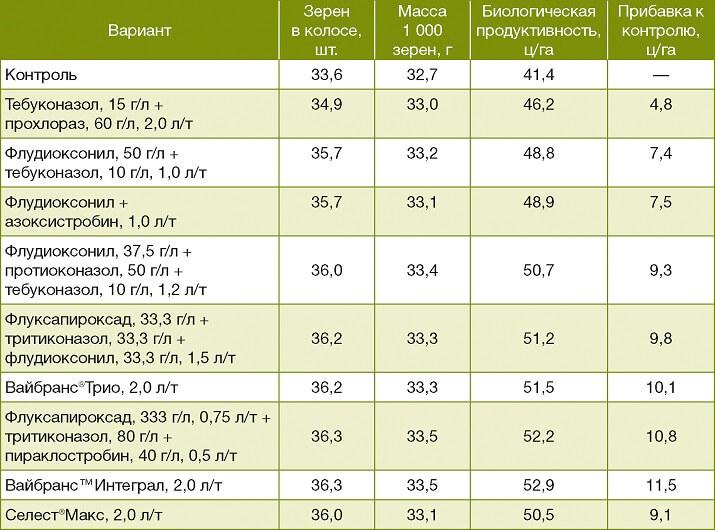 Хозяйственная эффективность протравителей на озимой тритикале (УО «БГСХА», 2021год)