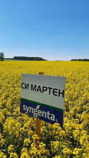 Гибрид СИ МАРТЕН фото 1