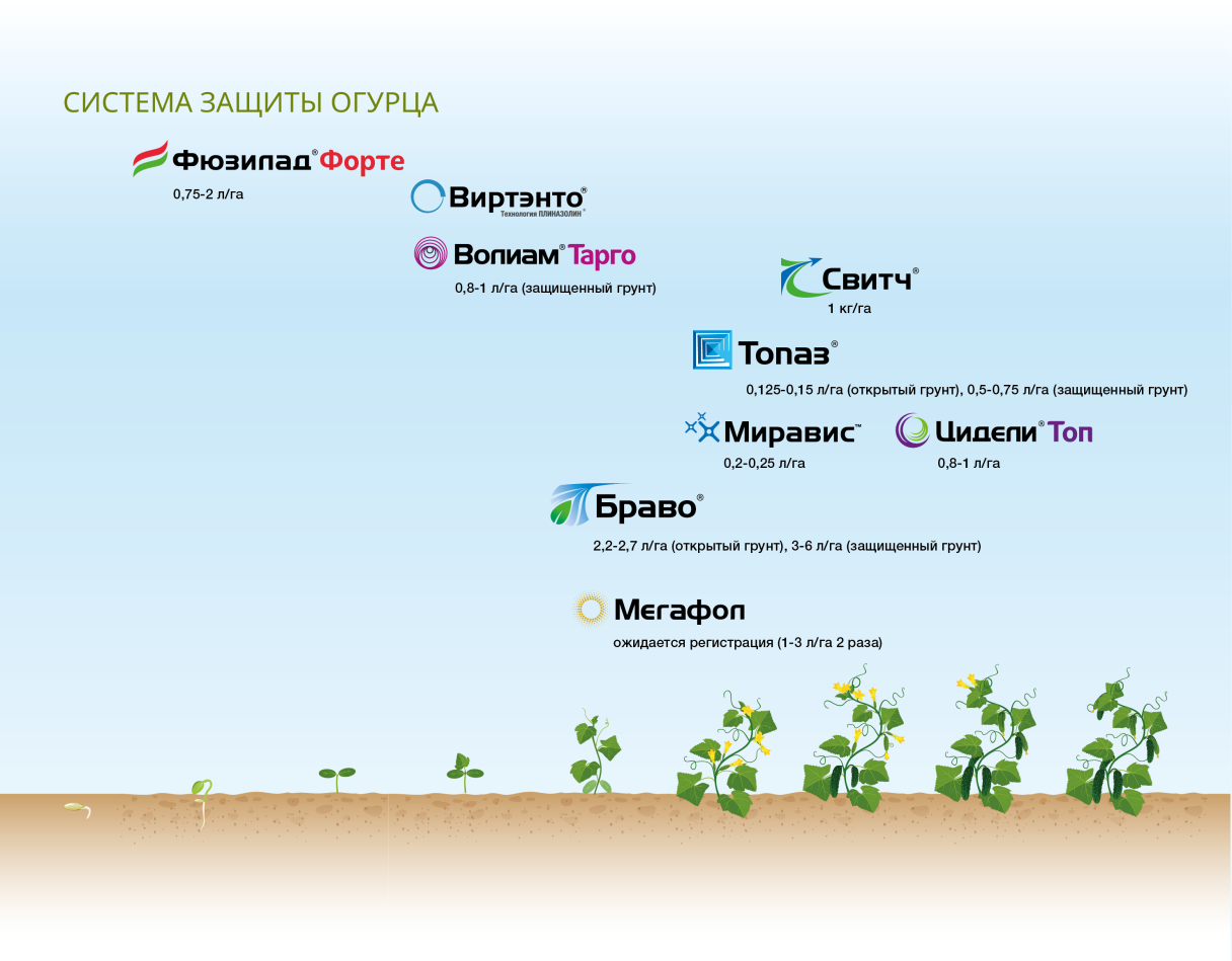 система защиты огурца